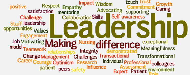 Leadership in a Health Context