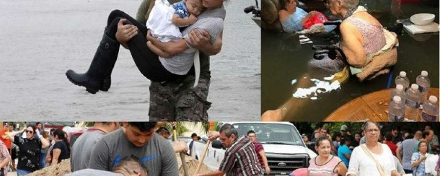 Hurricane Harvey Relief Fund #PremedsForHouston